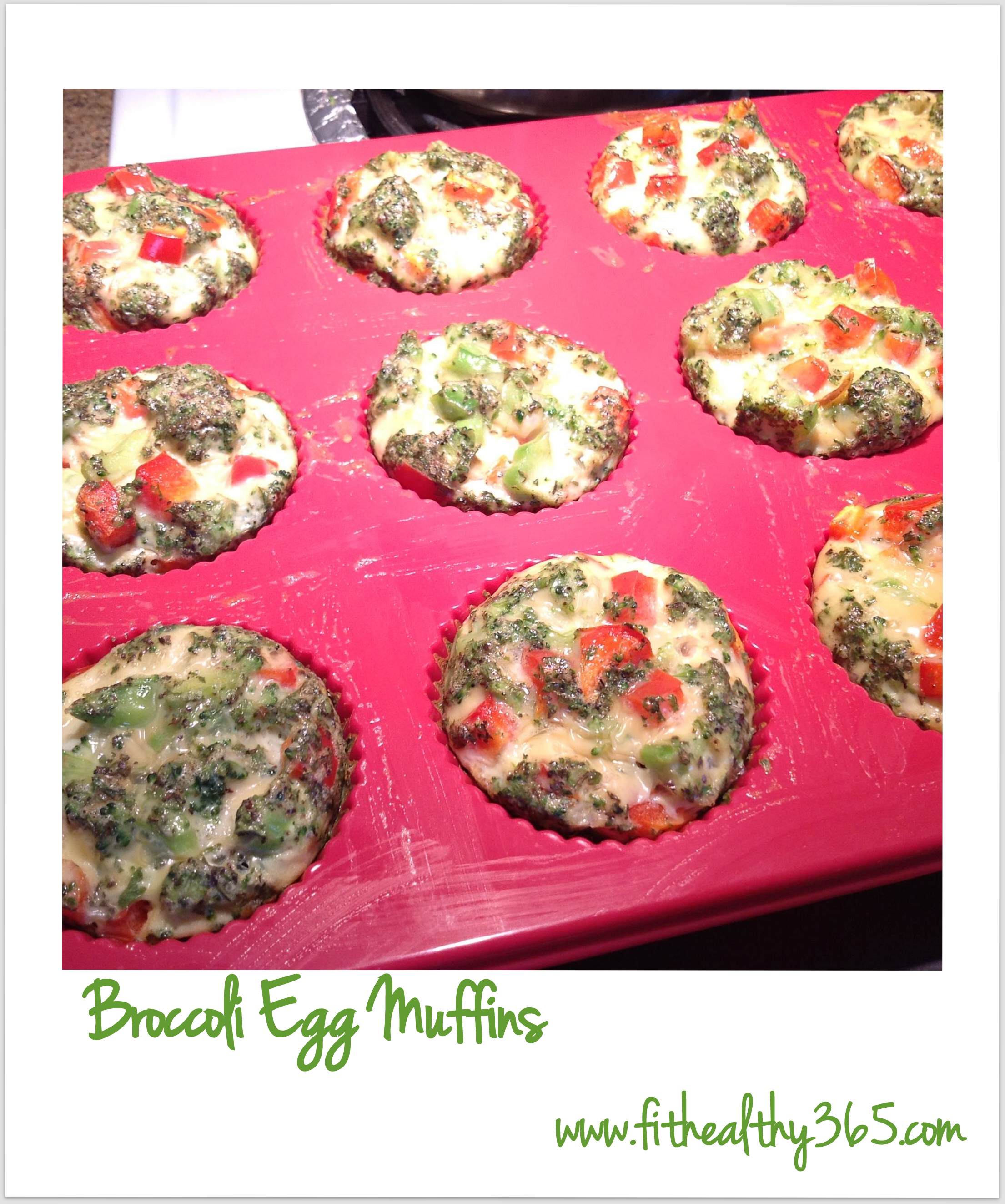 Broccoli Egg Muffins Fit + Healthy 365