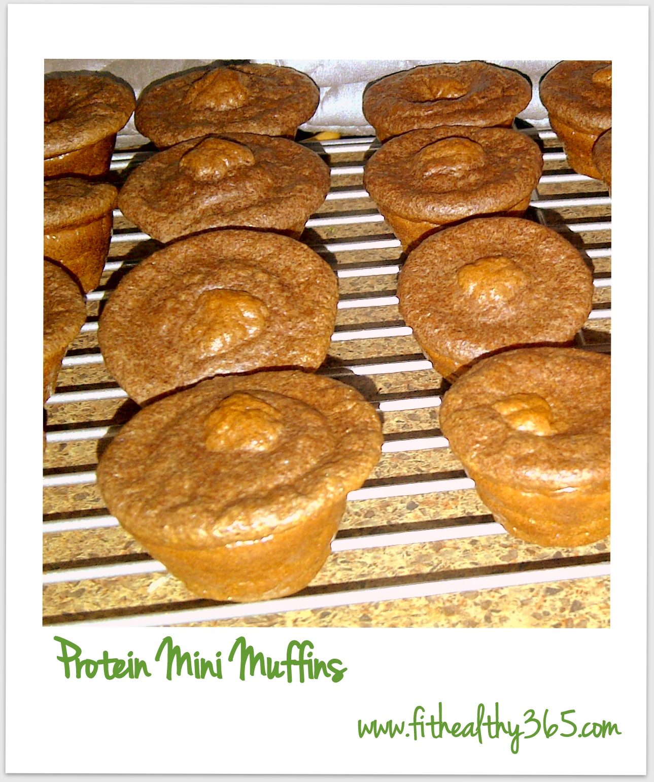 Protein Mini Muffins Fit + Healthy 365