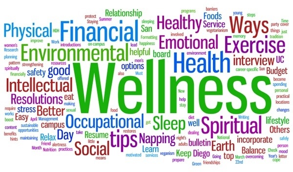 what is wellness