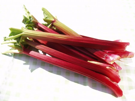 rhubarb