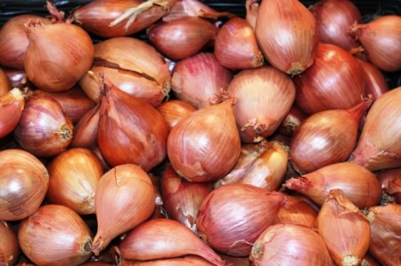 shallot